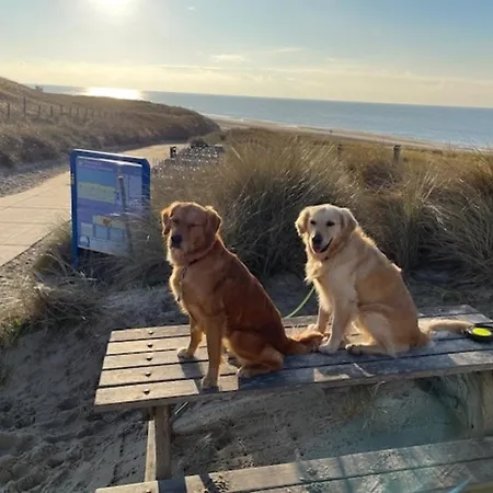 Holiday home Pur M 3 Natureingebunden, Familien- Und Hundefreundlich Eingezaunt - B65970