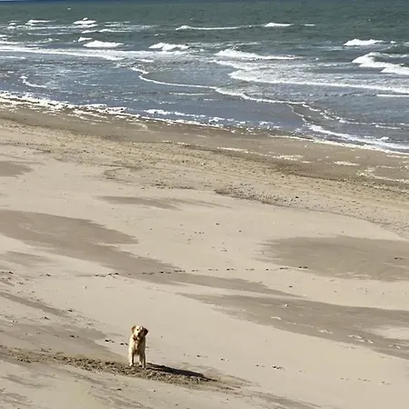 Pur M 3 Natureingebunden, Familien- Und Hundefreundlich Eingezaunt - B65970 Callantsoog